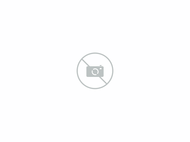 Hangcha GTHZ170C