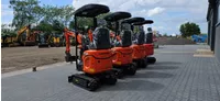 Rhinoceros Kubota XN12-8 mini graafmachine Foto