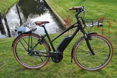 Riese und  Muller  Cruise Mixte beltdrive 500 wh accu (nieuw)