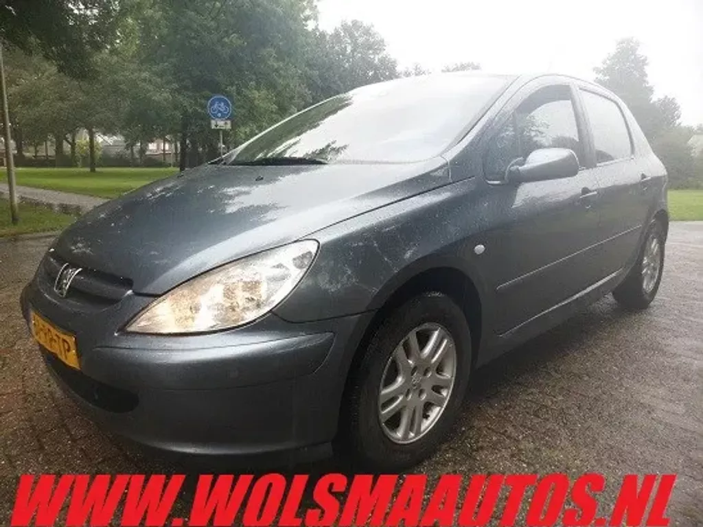 Peugeot 307 1.6-16V XS Premium