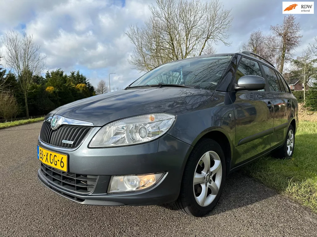 Skoda Fabia Combi 1.2 TDI|euro5|D-riem vervangen